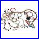 60508-Painless-Fuel-Injection-Wiring-Harness-Gas-Kit-New-for-Chevy-Camaro-98-02-01-rczo