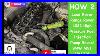 How-2-Land-Rover-Range-Rover-P38-High-Pressure-Fuel-Injection-Pump-Reseal-Bmw-M51-Vw-Tdi-01-kfgc