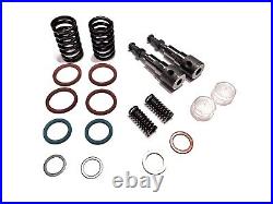 Kubota Fuel Injection Pump Rebuild Kit Z482 Diesel Engine Springs Orings Ect