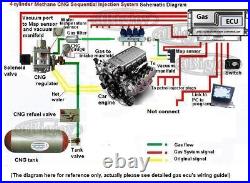 LPG/CNG Gas ECU Set F/bi-fuel Injection Conversion Kit 4/6/8cylinder Petrol Cars